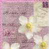 Decoupage Napkin Ambiente 6-13307535 bonne fete - szal art - sklep pla
