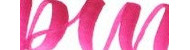 Sakura pigma brush finishes