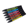 Winsor & Newton promarker vibrant tones set 6 colours- szal art - skle