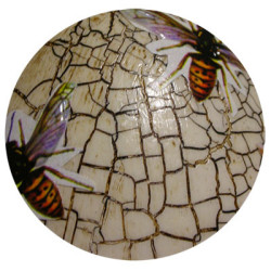 Crackle Classic 2x50ml Pentart