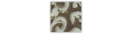 Pentart decoupage pasta postarzająca 20 ml