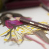 Derwent coloursoft set of crayons 48 colors wooden cassette