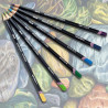 Derwent studio set of 12 studio crayons