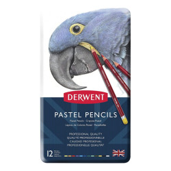 Derwent Pastel pastels set in a 12 color pencil