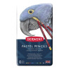 Derwent Pastel pastels set in a 12 color pencil