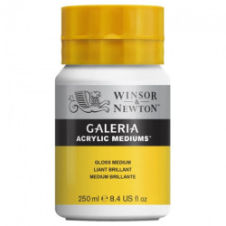 Winsor&Newton galeria gloss medium 250ml - sklep plastyczny - szał dla