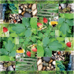 Decoupage Napkin  SLOG 0174 01 - szal art - sklep plastyczny