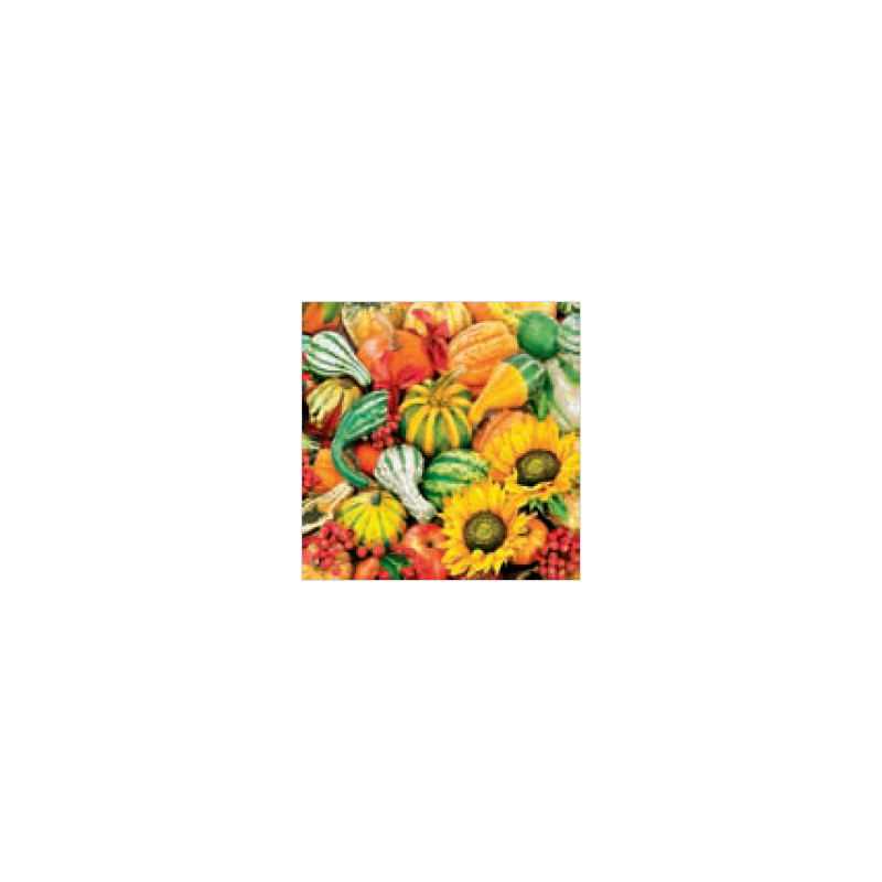 Decoupage Napkin pumpkins 8-SLOG 0120 01