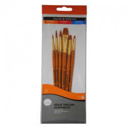 Daler Rowney set of 6 nylon brushes