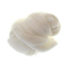 Wełna czesankowa 50g - sklep plastyczny - szał dla plastyków