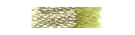 Derwent graphitint colored graphite pencils