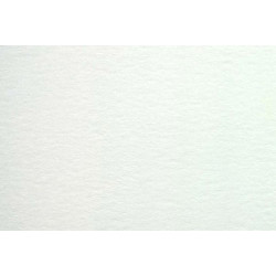 Daler Rowney papier akwarelowy aquafine smooth 300g 10ark 50x70cm