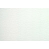 Daler Rowney papier akwarelowy aquafine smooth 300g 10ark 50x70cm