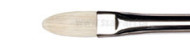 Winsor&Newton artists hog brushes long filbert series
