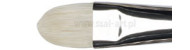 Winsor&Newton pędzle artists hog seria short filbert