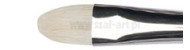 Winsor&Newton artists hog brushes short filbert series