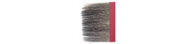 Brushes series 1525
