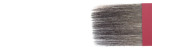 Brushes series 1525