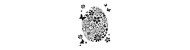 Universal template 25,5 x 20,5 cm Viva Decor