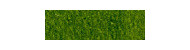 Derwent procolour artistic crayons