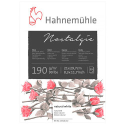 Szkicownik Hahnemuhle nostalgie 190g 50 arkuszy