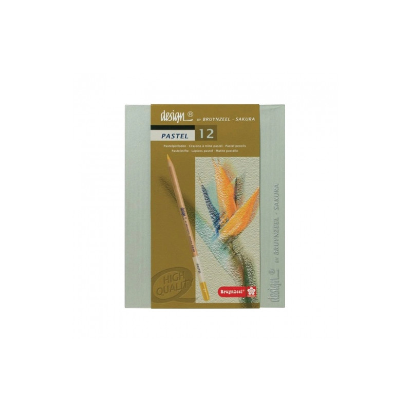 Bruynzeel pastel pastels set in a crayon 12 pieces