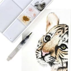 Zieler watercolor starter set paints + accessories