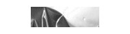 Gedeo mirror effect leaf 12