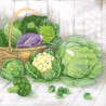 Serwetka do decoupage warzywa Ambiente 27-13308700 cabbage - sklep pla