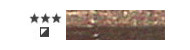 Daniel Smith oil paints 37ml