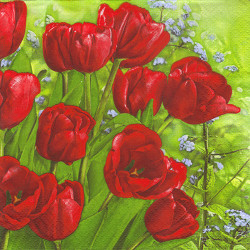 Serwetka do decoupage Daisy 7-002601 kwiaty - sklep plastyczny - szał
