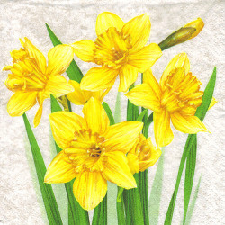 Napkin for decoupage Daisy 10-003901 narcissus
