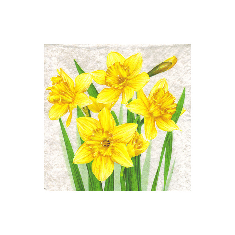 Napkin for decoupage Daisy 10-003901 narcissus