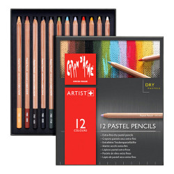 Caran d'che dry pastels in crayon 12 colors
