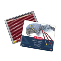 Derwent pastel pastels set in a crayon 24 colors