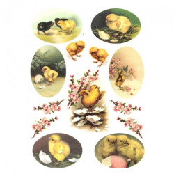 Papier ryżowy do decoupage A4 ITD R308 wielkanocne kurczaki - sklep pl