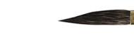 Striper brushes Kozłowski 560 series