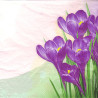 Napkin for decoupage Daisy 29-003401 flowers