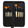 Zieler Premium set of 10 synthetic brushes in a case