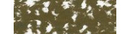 Talens rembrandt pastele suche
