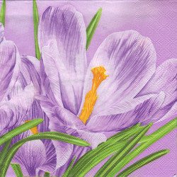 Napkin for the decoupage Moses 7-004101 crocus