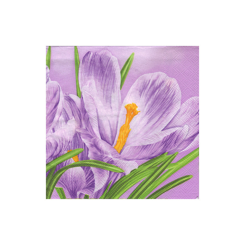 Napkin for the decoupage Moses 7-004101 crocus