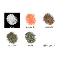 Staedtler set of 5 pastels in a crayon + highlighter