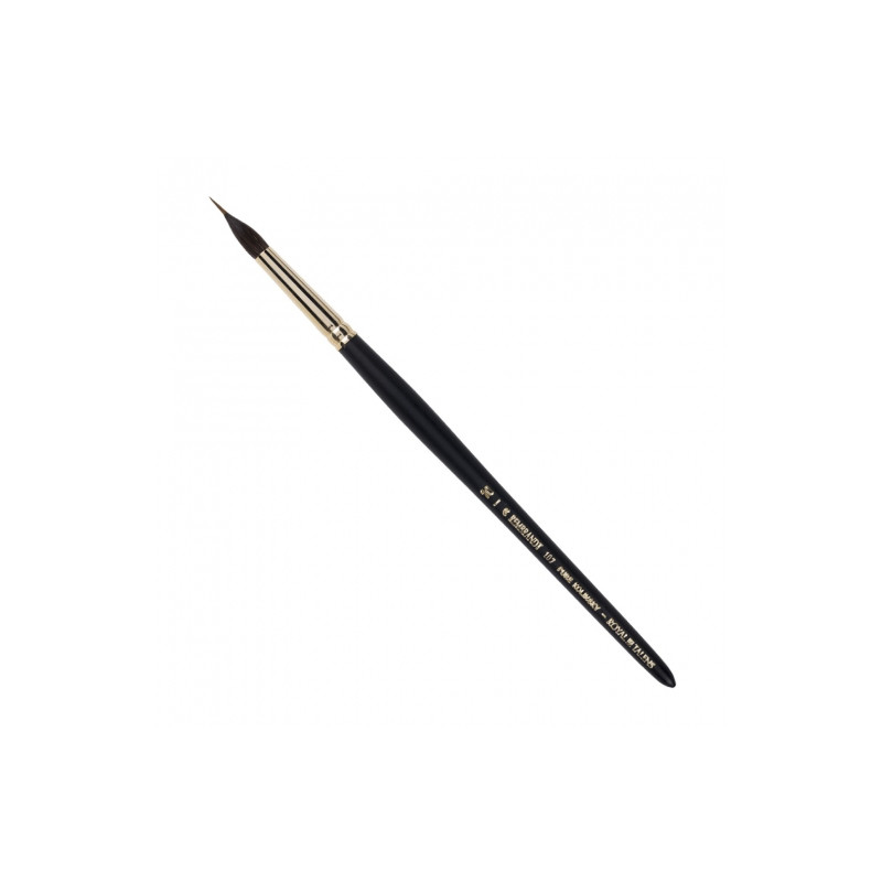 Talens rembrandt natural brush with a container s.107