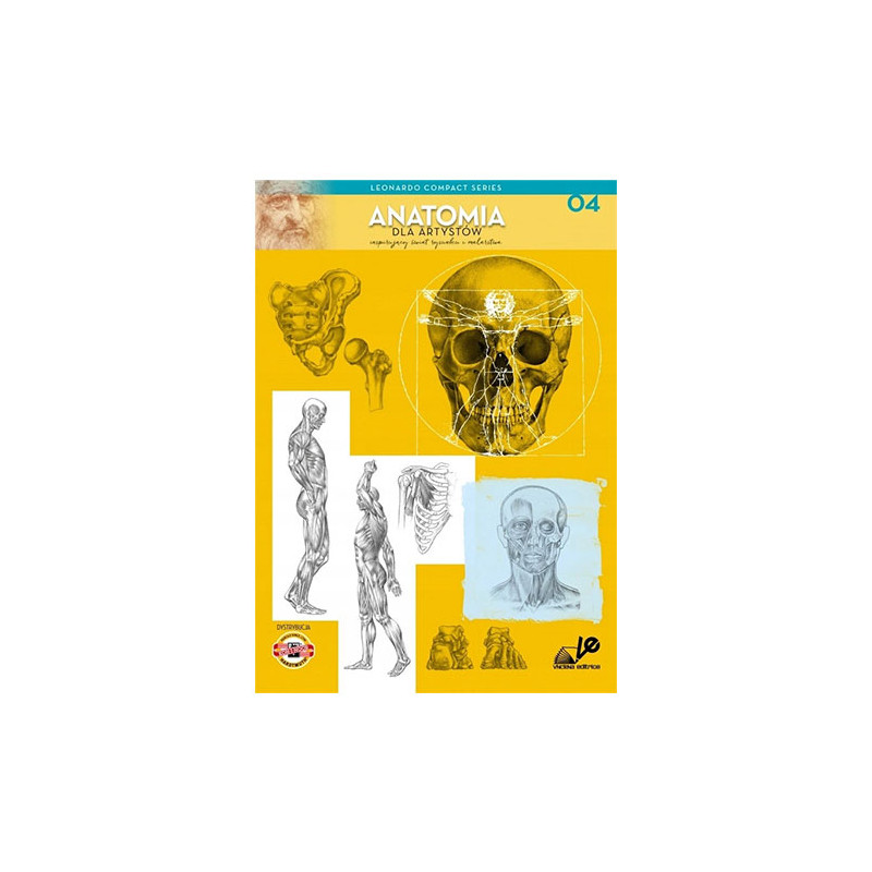 Koh-i-noor anatomia dla artystów L. Compact - sklep plastyczny - szał