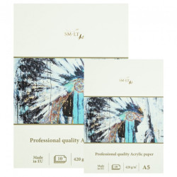 SM-LT art acrylic blok do farb akrylowych 420g 10ark - sklep plastyczn