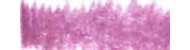 Kalour soft touch colored pencils