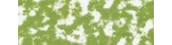 Talens rembrandt pastele suche