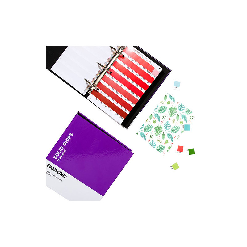 Pantone solid chips wzorniki kolorów - sklep plastyczny - szał dla pla