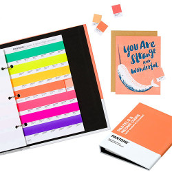 Pantone pastel & neons chips color samples